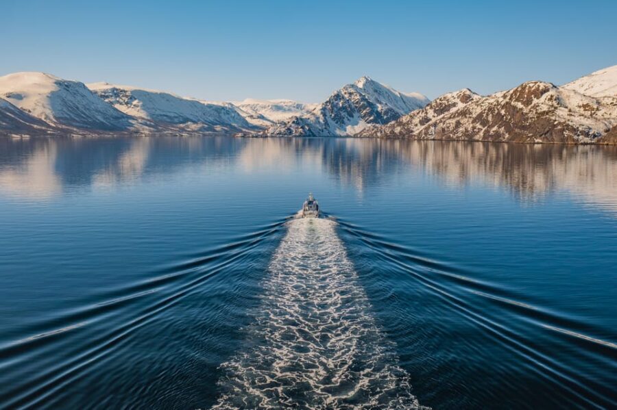Alta: Altafjord Whale Watching in a Heated Boat - Final Thoughts: Is It Worth It?