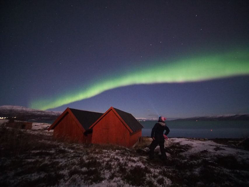 Alta: Small-Group Guided Northern Lights Tour - Who Should Consider This Tour?
