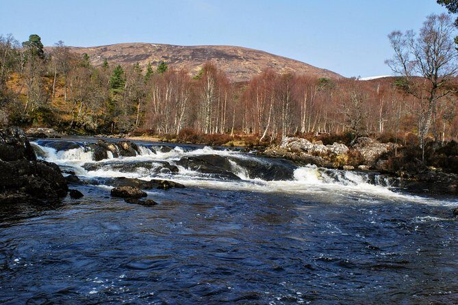 Alternative Loch Ness Tour by Secret Highlands - Final Thoughts: Why Choose This Tour?