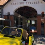 Amalfi Coast vintage tour with cheese and wine tastings - Sipping and Savoring at Cantina Tagliafierro