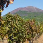 Amalfi Coast with Wine Tasting - Private Driving Tour from Rome - Exploring Sorrento: The First Stop