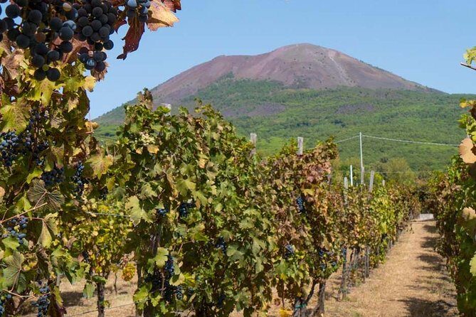 Amalfi Coast with Wine Tasting - Private Driving Tour from Rome - Exploring Sorrento: The First Stop