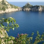 Amalfi Drive: Sorrento to Amalfi Excursion - Why This Tour Offers Excellent Value