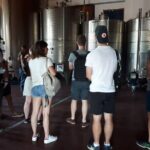 Amarone Wine Tour - Why Choose the Amarone Wine Tour?