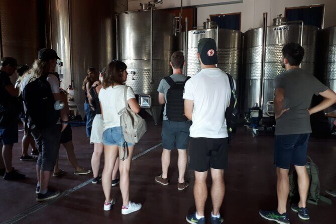 Amarone Wine Tour - Why Choose the Amarone Wine Tour?