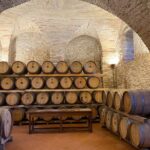 Among ancient sunny vineyards, visit and taste the wines from the San Lorenzo cellar - The Worth of the Price