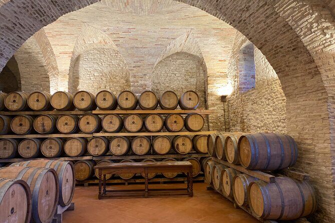 Among ancient sunny vineyards, visit and taste the wines from the San Lorenzo cellar - The Worth of the Price