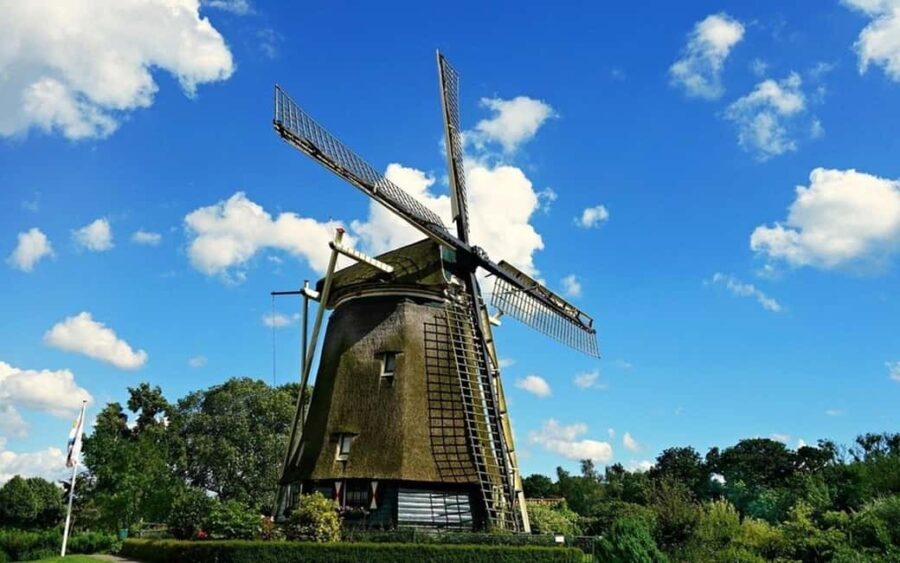 Amsterdam: Private Half-Day Guided Tour - Analyzing the Value