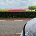 Amsterdam Private Transfer to Keukenhof Gardens - Final Thoughts