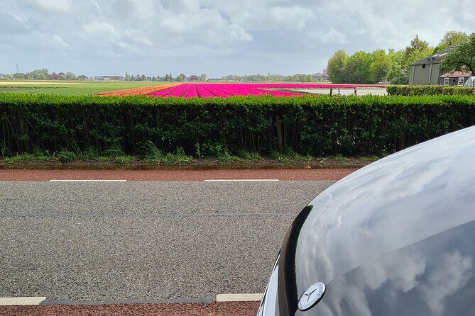 Amsterdam Private Transfer to Keukenhof Gardens - Final Thoughts