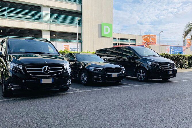 Amsterdam to Amsterdam Schiphol Airport (AMS) - Departure Private Transfer - Real Traveler Insights