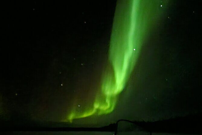 An Evening in the Backcountry, Northern Lights on a Sleighride - Price and Value Analysis