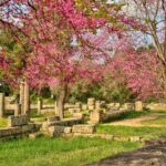 Ancient Olympia Full-Day Private Tour from Athens - Final Thoughts