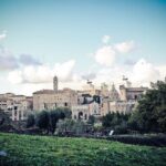 Ancient Rome Guided Walking Tour: Colosseum, Forum and Palatine - What We Think About the Tours Value