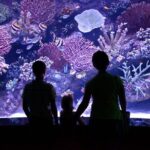 Antalya Aquarium, Wax Museum, Snow World, Wild Park, XD Cinema - The Sum Up