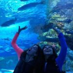 Antalya: Aquarium, Wax Museum, Snow World, Wild Park, XD Cinema - Who Should Consider This Tour?