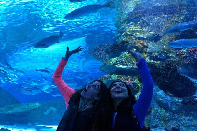 Antalya: Aquarium, Wax Museum, Snow World, Wild Park, XD Cinema - Who Should Consider This Tour?