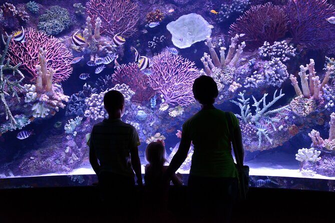 Antalya Aquarium, Wax Museum, Snow World, Wild Park, XD Cinema - The Sum Up