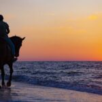 Antalya Horse Riding On Beach And Through The Forests For 2 Hours - Authentic Guest Experiences