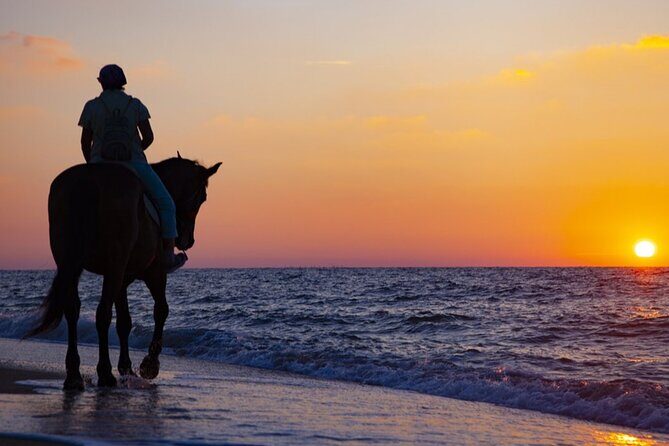 Antalya Horse Riding On Beach And Through The Forests For 2 Hours - Authentic Guest Experiences