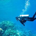 Antalya Scuba Diving With Transfer From Belek,Lara,Kemer Hotels - What Makes This Tour Stand Out