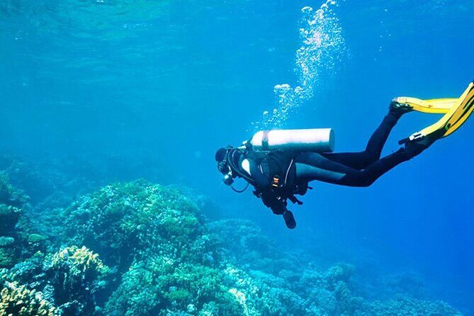 Antalya Scuba Diving With Transfer From Belek,Lara,Kemer Hotels - What Makes This Tour Stand Out