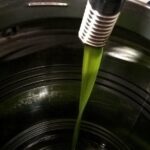 Apprentice Olive Oil taster for a day! - Who Will Love This Tour?