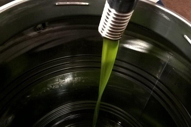 Apprentice Olive Oil taster for a day! - Who Will Love This Tour?