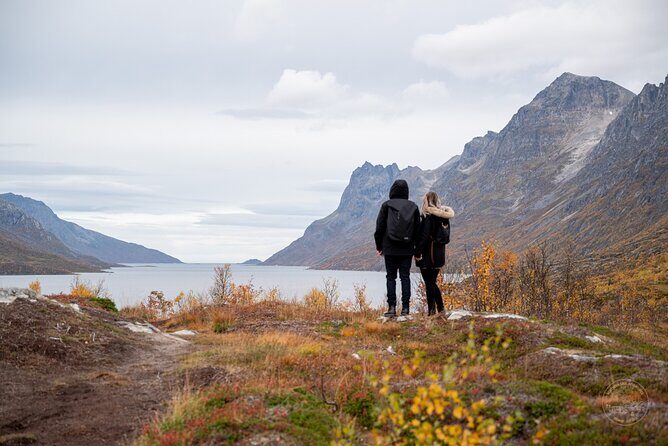 Arctic Roadtrip: fjords with scenic picnic | Sightseeing - The Value of This Arctic Roadtrip