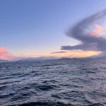 Arctic Whale Watching: Tromsø to Skjervøy in Comfort - The Practical Side: Whats Included & What to Bring