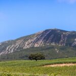 Arrabida and Sesimbra Small-Group Day Trip from Lisbon with Wine Tasting - Why This Tour Works Well