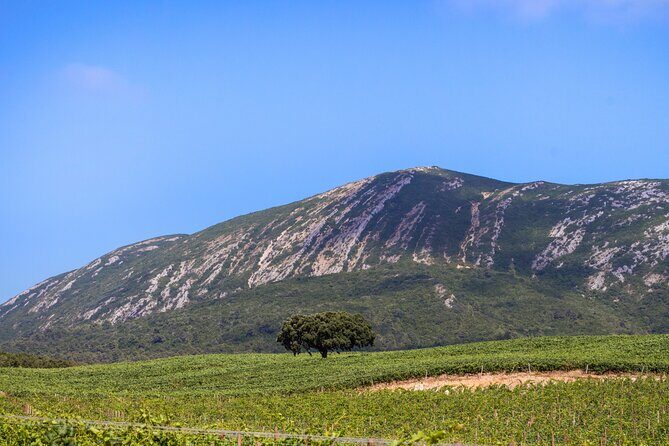 Arrabida and Sesimbra Small-Group Day Trip from Lisbon with Wine Tasting - Why This Tour Works Well