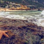 Arrábida Jeep Tour  Europe's Most Beautiful Beach & Hidden Gems - The Sum Up