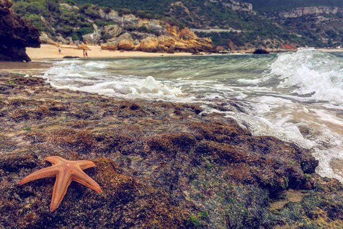 Arrábida Jeep Tour  Europe's Most Beautiful Beach & Hidden Gems - The Sum Up