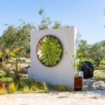 Arte-Contemporary: Sculpture Park and Art Gallery visit - Diving Into the Experience