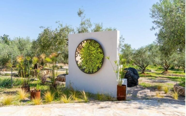 Arte-Contemporary: Sculpture Park and Art Gallery visit - Diving Into the Experience