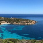ASINARA ISLAND-TOUR full day Minivan in the National Park - Who This Tour Is Perfect For