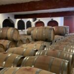 Athens Wine Tour - An Outstanding Full Day Experience For Dedicated Winelovers - The Itinerary: A Closer Look