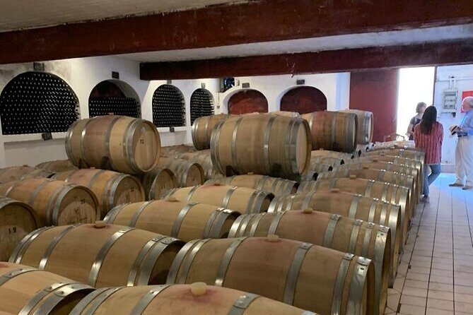 Athens Wine Tour - An Outstanding Full Day Experience For Dedicated Winelovers - The Itinerary: A Closer Look