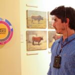 Audio Guided Tour of the Bullring of Las Ventas in Madrid - The Sum Up