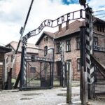 Auschwitz and Wieliczka Salt Mine One Day Tour from Krakow - Who Should Book This Tour?