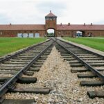 Auschwitz-Birkenau and Wieliczka Salt Mine Day Tour from Krakow with private car - Who Is This Tour Best Suited For?