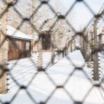 Auschwitz-Birkenau and Wieliczka Salt Mine Full Day Tour - Authentic Insights from Travelers