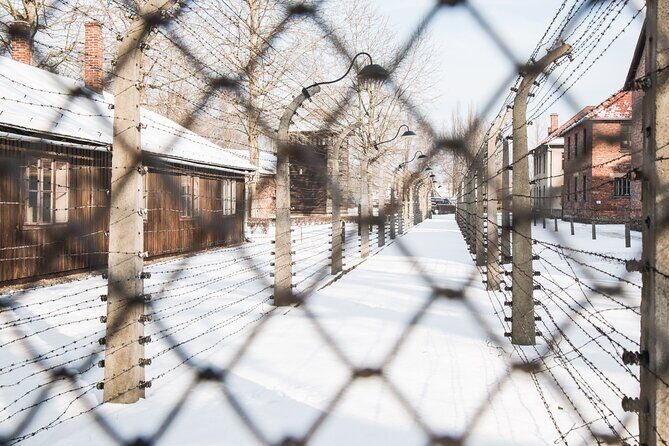 Auschwitz-Birkenau and Wieliczka Salt Mine Full Day Tour - Authentic Insights from Travelers