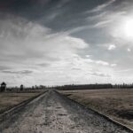 Auschwitz-Birkenau: Entry Ticket with Guided Tour - Booking and Planning: The Logistics