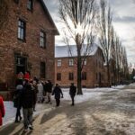 Auschwitz-Birkenau Guided Tour from Krakow with Transfer & Ticket - The Experience: Pros and Cons