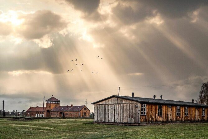 Auschwitz-Birkenau Memorial and Museum Guided Tour - Private Transport - The Value Proposition