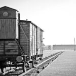 Auschwitz-Birkenau Museum Tour from Krakow - The Logistics: Ease and Comfort