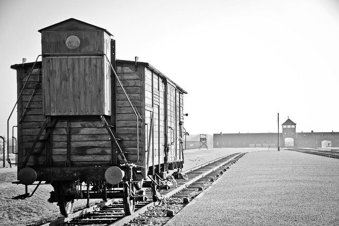 Auschwitz-Birkenau Museum Tour from Krakow - The Logistics: Ease and Comfort