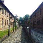 Auschwitz-Birkenau Self-Guided Visit from Krakow with Private Transfers - Who Should Consider This Tour?